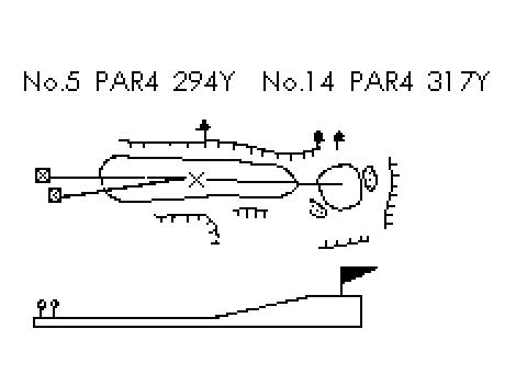 No.5ホール / No.14ホール 画像01