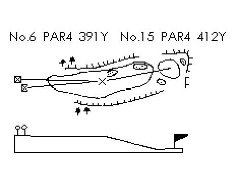 No.6ホール / No.15ホール 画像01